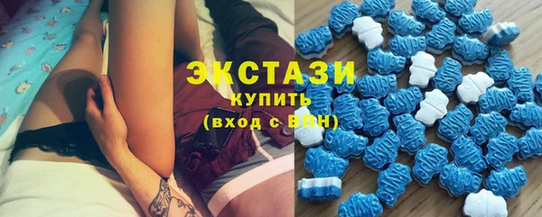 прущие грибы Пересвет