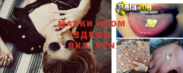 прущие грибы Пересвет