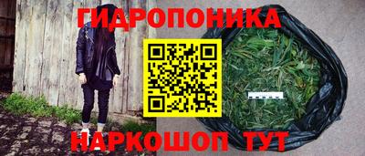 a pvp Волжск
