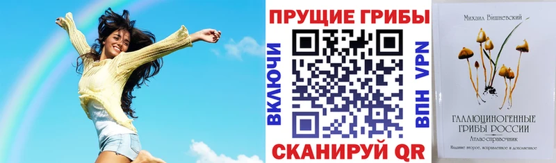 OMG ONION  Старая Купавна  Галлюциногенные грибы прущие грибы 