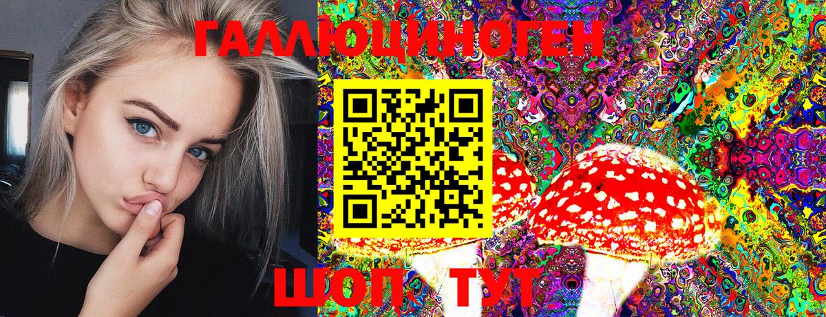 где продают наркотики  Вход с VPN  Псилоцибиновые грибы Cubensis  Старая Купавна  Галлюциногенные грибы прущие грибы 
